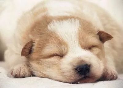 脱发自救指南,你的脱发自救指南建议耐心看完