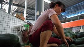 广州市水果市场热闹吗,广州水果市场有杨梅