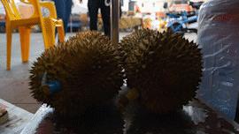 广州市水果市场热闹吗,广州水果市场有杨梅