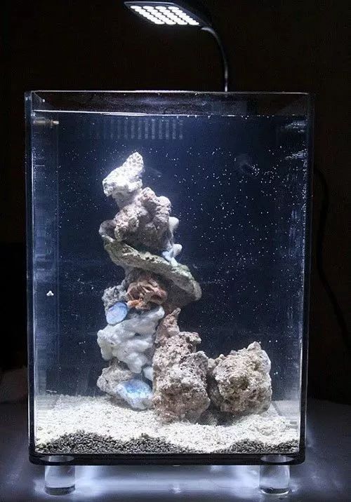 桌面微缸推荐,微缸展示