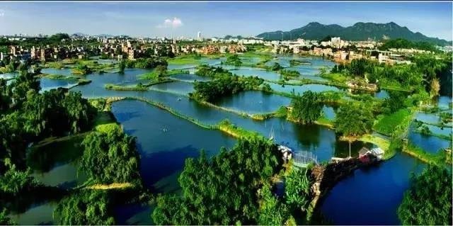 广州南沙核心区房价,南沙核心地段最新房价