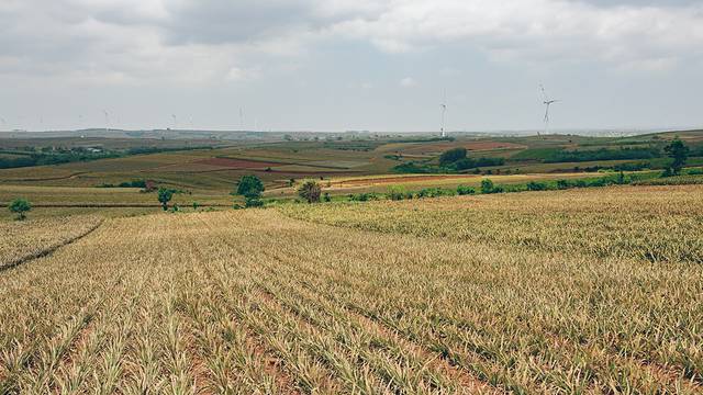 大陆之南，粤西越美，被旅行者疏忽的处女地——雷州半岛