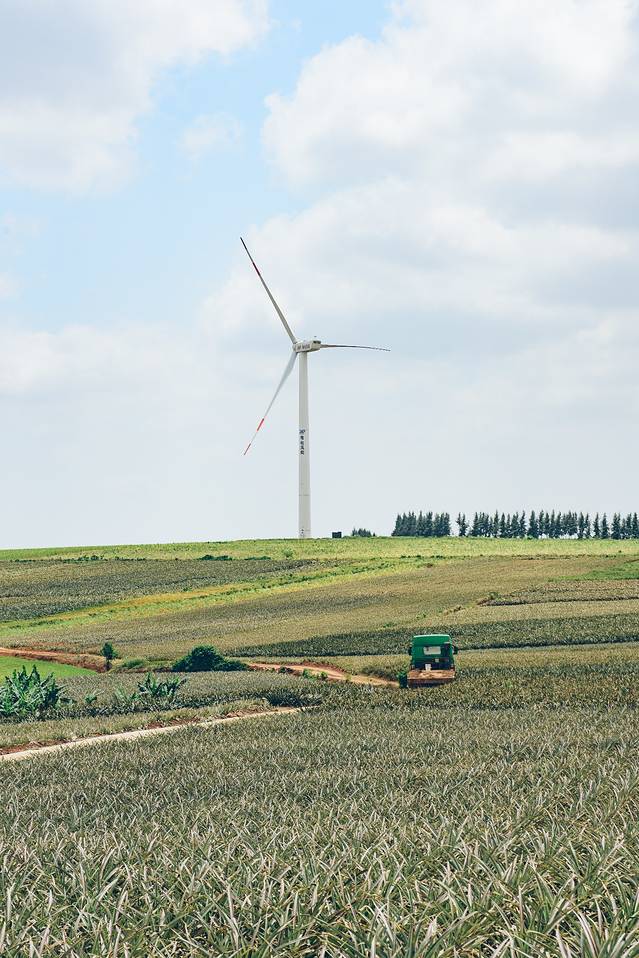 大陆之南，粤西越美，被旅行者疏忽的处女地——雷州半岛