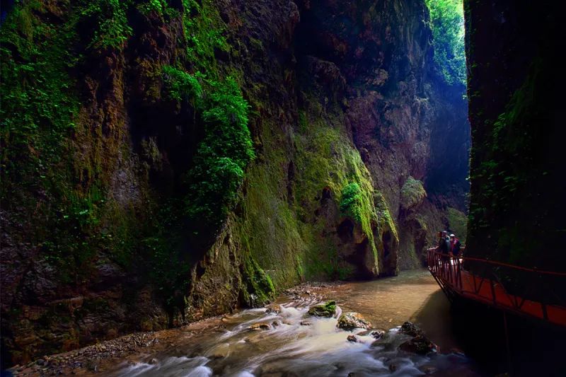 曲靖全国十大宜居城市第一,曲靖荣获多少次全国十大宜居城市