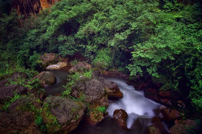 曲靖全国十大宜居城市第一,曲靖荣获多少次全国十大宜居城市