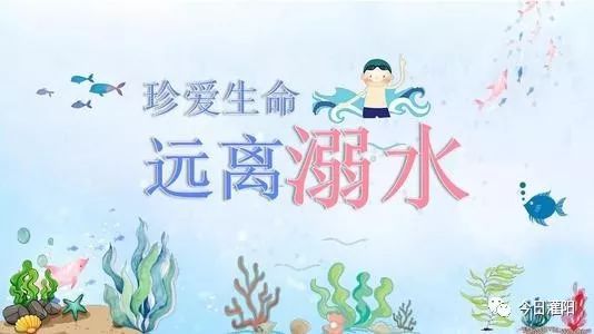 寰烽懌鎷涜仒淇℃伅,寰烽懌鎷涜仒
