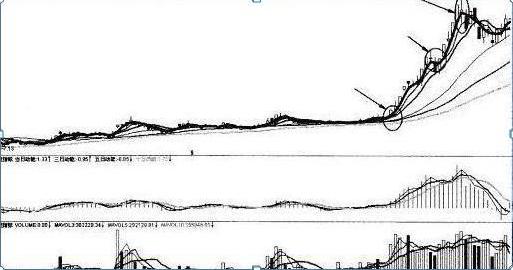 徐翔怎么躲过黑天鹅事件,私募大佬徐翔传奇
