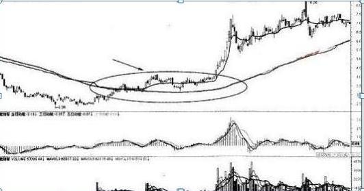 徐翔怎么躲过黑天鹅事件,私募大佬徐翔传奇