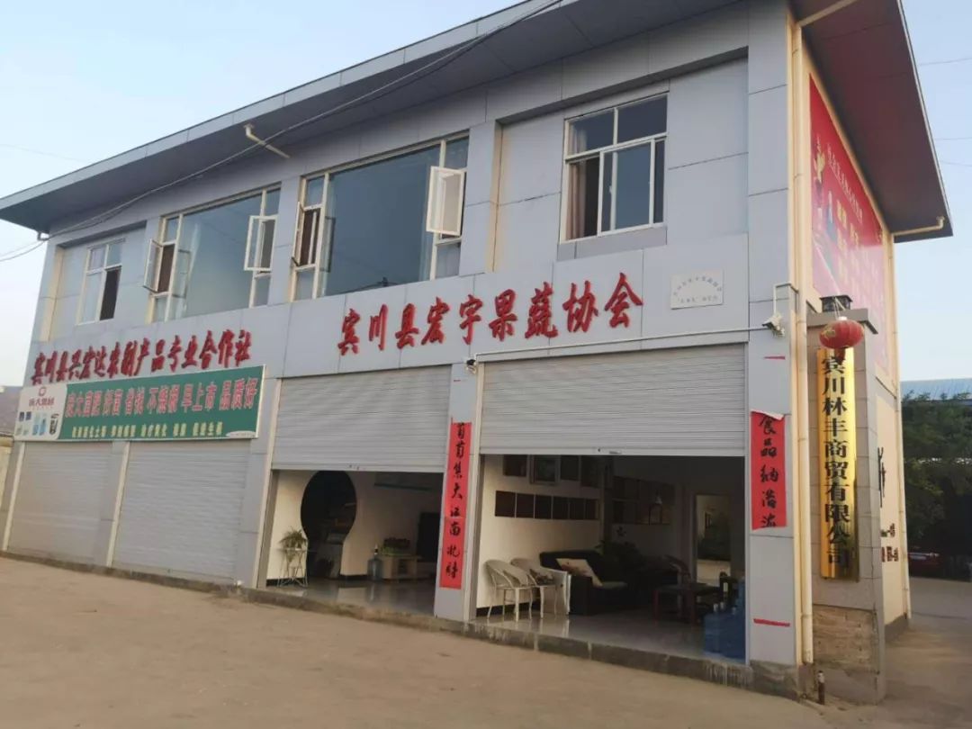 宾川县城加油,宾川加油站活动