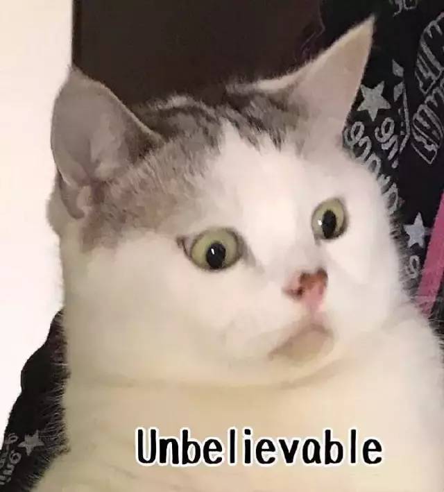 日元疯狂贬值,日元汇率创24年新低