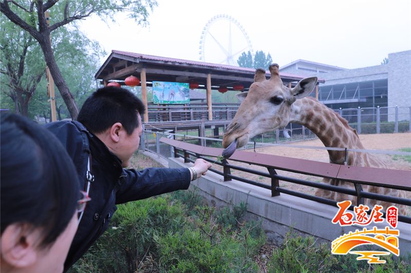 夏天情侣约会合适去的地方石家庄,石家庄合适情侣约会的十大去处