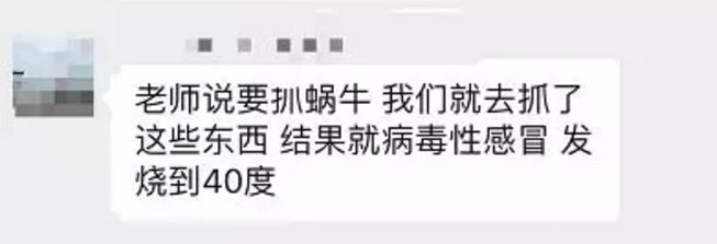 雨后常见的大蜗牛有什么危害,深圳雨后的大蜗牛是保护动物吗