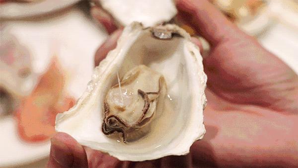 我的暑假我做主600字,我的暑假我作主开头