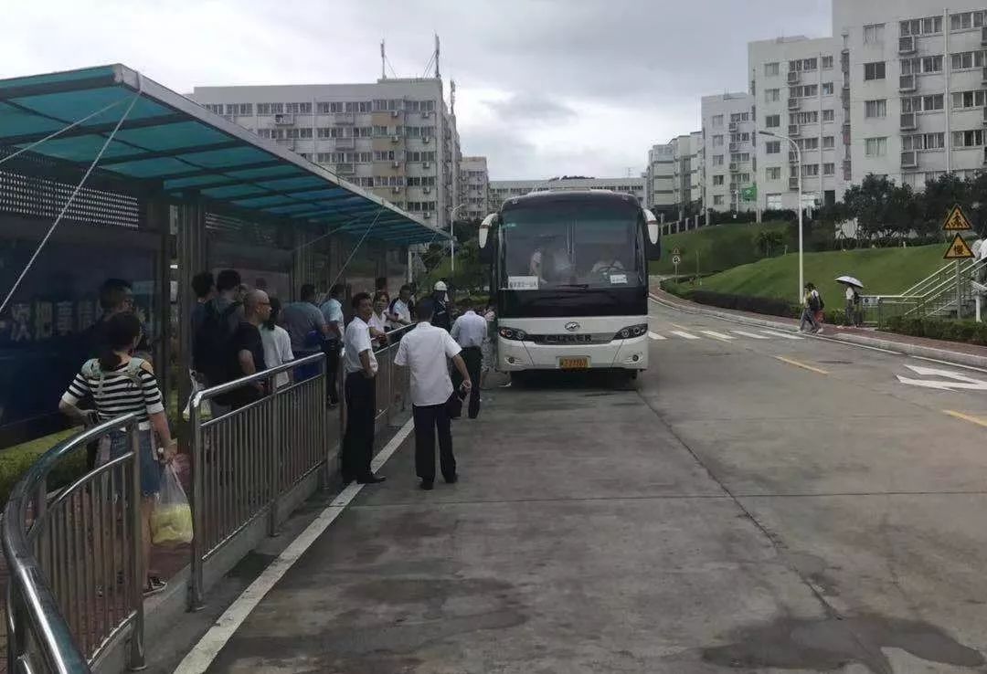 利奇马登录山东最新动态,利奇马登陆辽宁