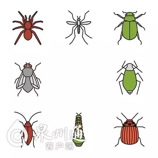 小心毒虫视频,警惕这种虫有人被咬后差点没命