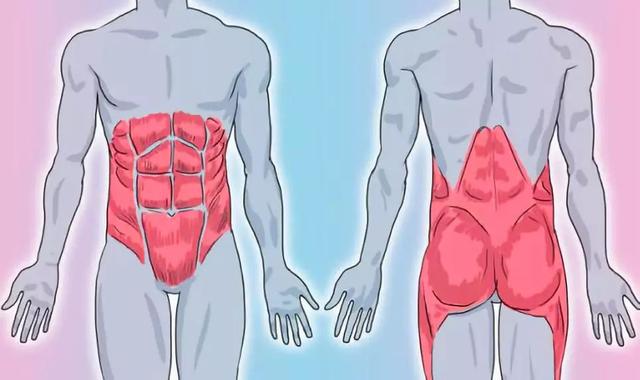 平板支撑能够练腹直肌吗,平板支撑每天练多久合适