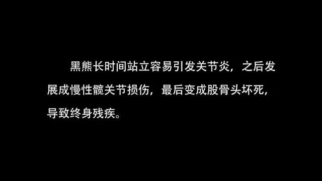 丧心病狂！每帧画面都在捅刀子，多少人忽视了这些人间惨剧…