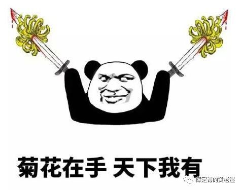 主观题不过的原因,量化和主观哪个更厉害