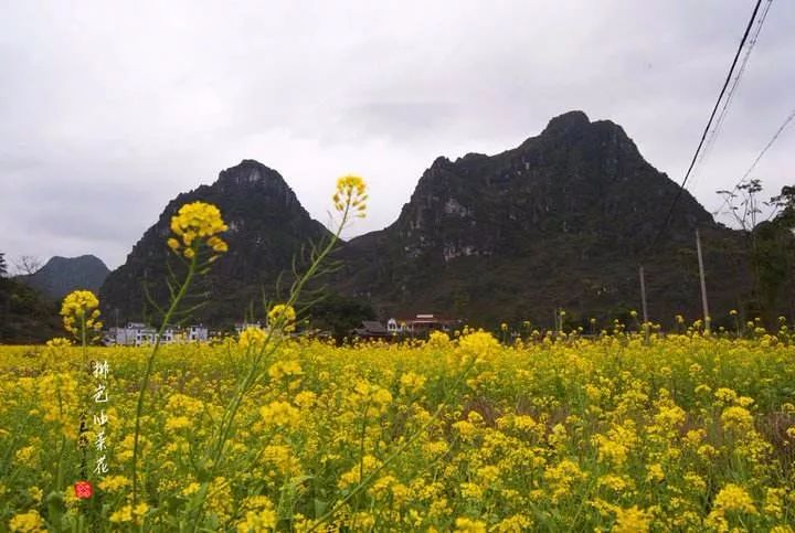 上林旅游打卡地,上林游玩景点推荐