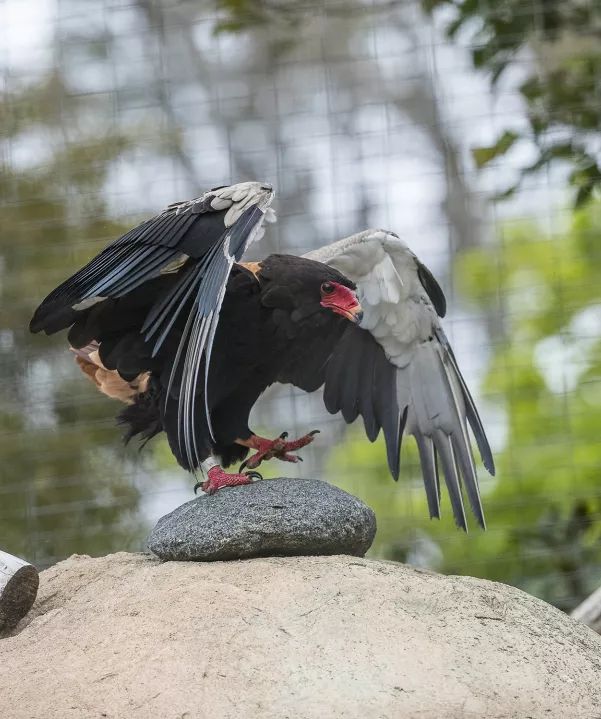 漫步圣地亚哥海边,圣地亚哥海岸风光