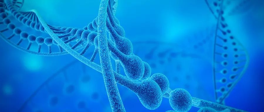 锌元素如何补,生命元素锌功效与功能