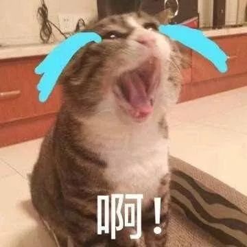 不去澳门能够去拱北口岸买东西吗,去澳门消费注意事项