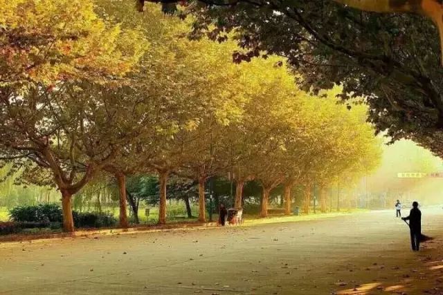 @2019级水之子，多图带你们提前逛河海～