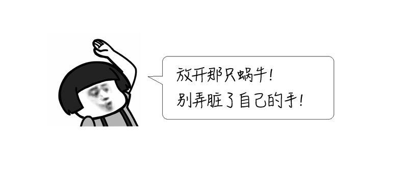 雨后出现的大蜗牛有多危险,下暴雨时蜗牛会怎样生活