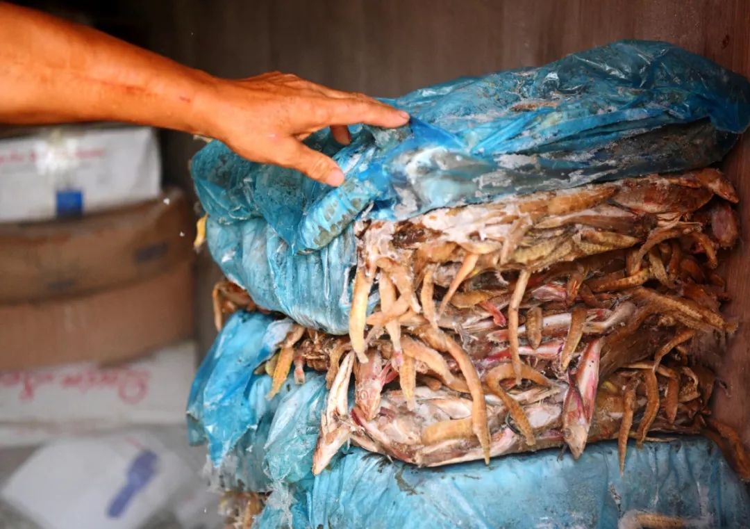 闈掑矝榛勫矝澶ф鍏绘瀛愯煿,闈掑矝姊瓙锜规渶澶ф湁澶氬ぇ