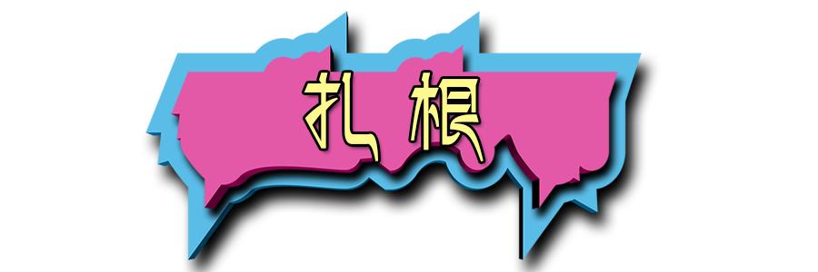 援青工作日记,援青准备工作