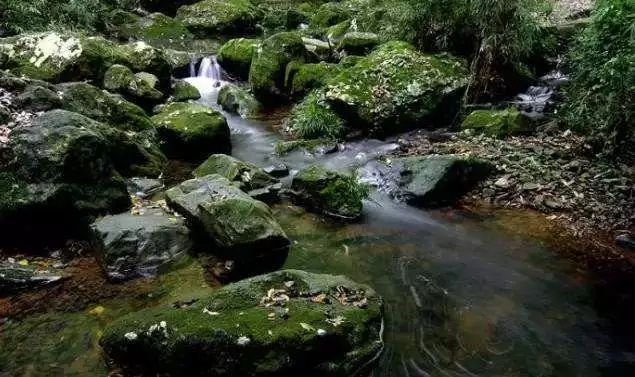 青田洞天,青田洞天仙境