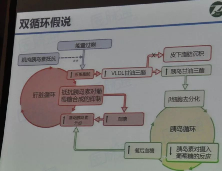 余学锋教授：2型糖尿病缓解的定义及标准|CSE2019