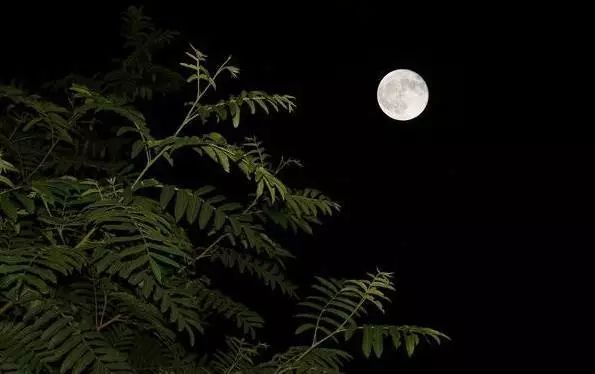 仓山故事|从白昼到黑夜，爱上仓山的24小时...