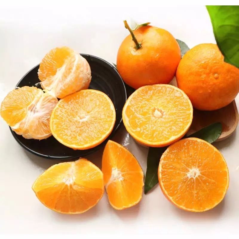 用手机就能够随时赚钱,手机就能赚钱