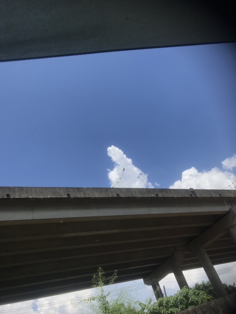 钓罗非防小罗非闹窝,钓罗非怎么避小罗非闹窝