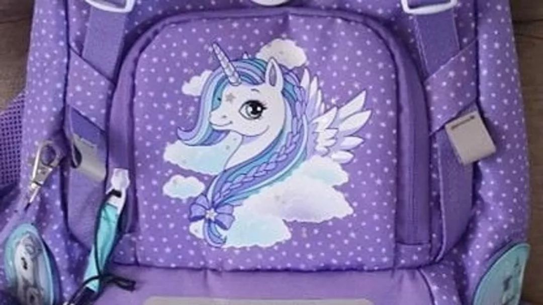 我是男孩，我喜欢紫色书包！一位挪威妈妈的刷屏日记