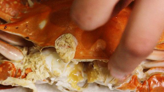 日料铁板烧自助探店大连,几十块的日式铁板烧自助