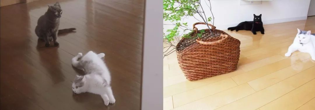 这部“变态”日剧，早该让我妈看了...