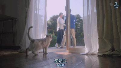 这部“变态”日剧，早该让我妈看了...