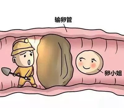 太仓四维检查,太仓四维超声检查
