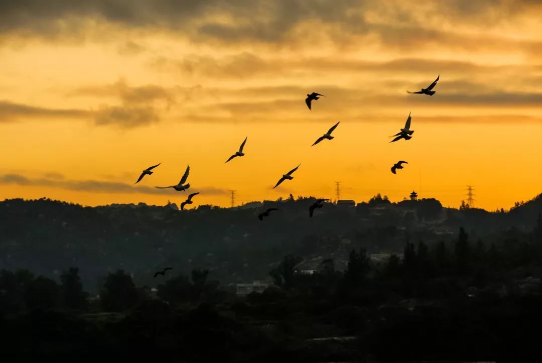 你以为的福建泉州惠安,你以为的泉州惠安
