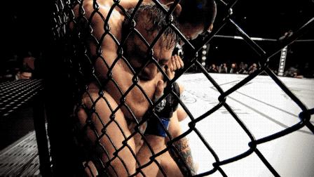 2003以父之名现场完全版,以父之名2完全版