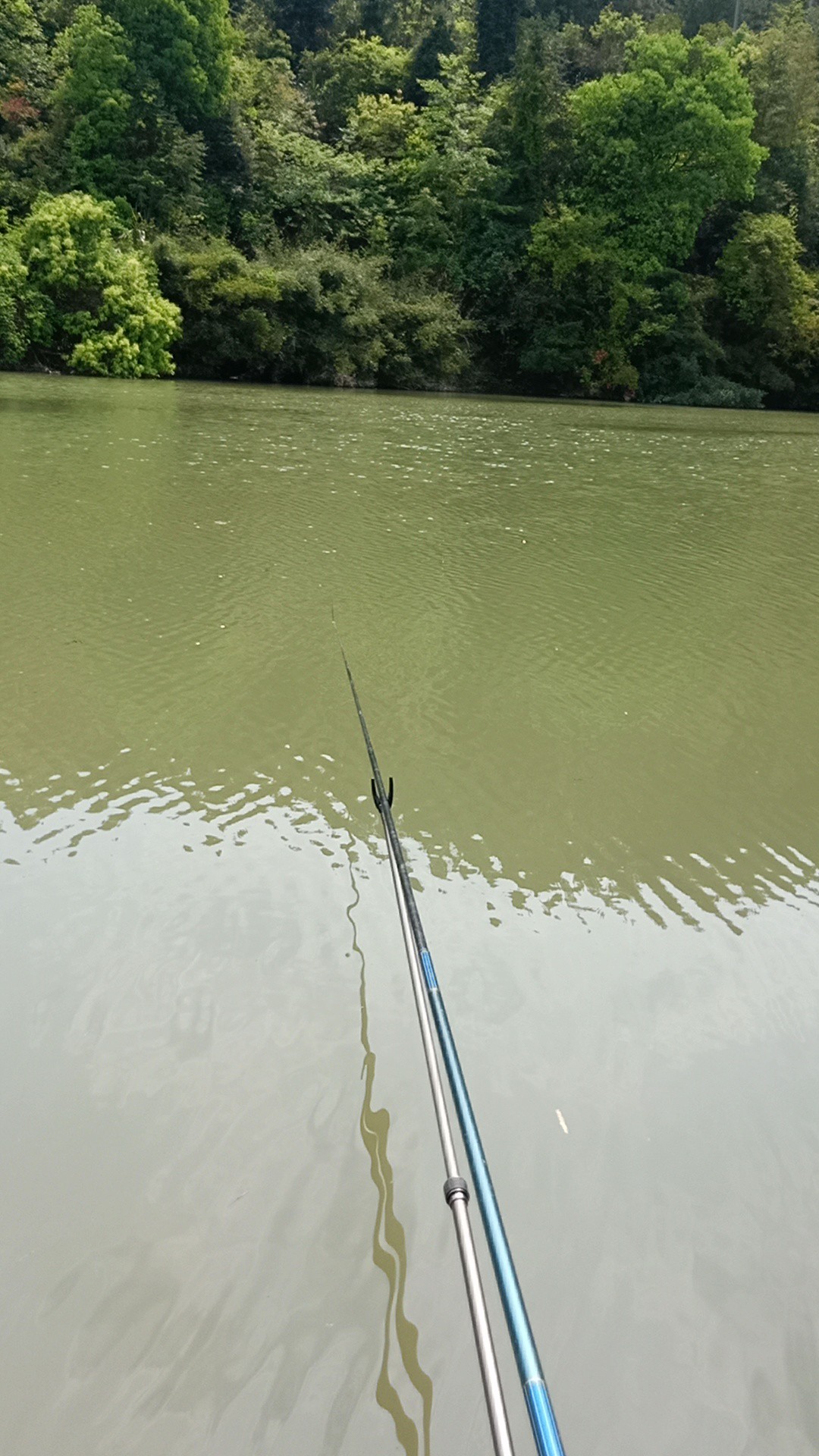 钓鱼已有几年，如今只能欣赏钓友钓鱼了...