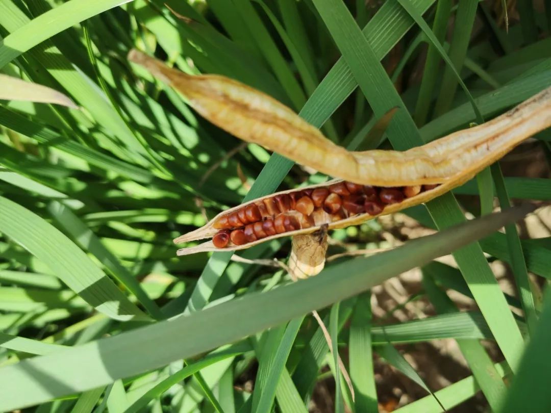 这个夏天，是你们唤醒了我心中的那粒种子