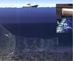 探营工博会｜东华大学：打造纺织机械“特种部队”