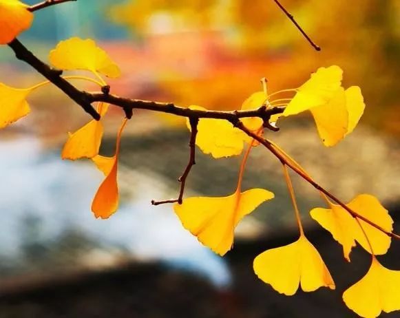 深度推荐旅行去处,最合适七天旅游的十个城市