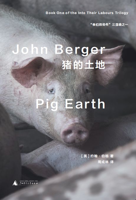 重来也不会好过现在读后感,从来也不会好过现在