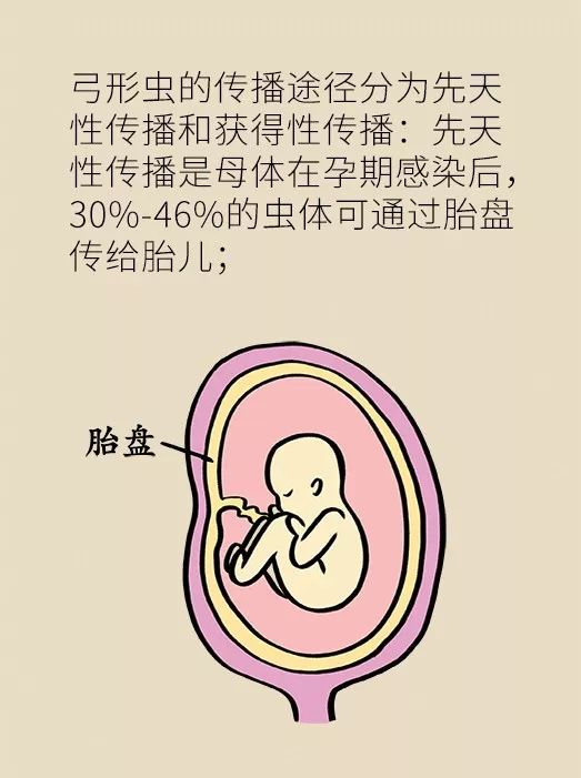 怀孕了家里有猫狗还能够继续养吗,家里一直有猫狗怀孕了怎么办