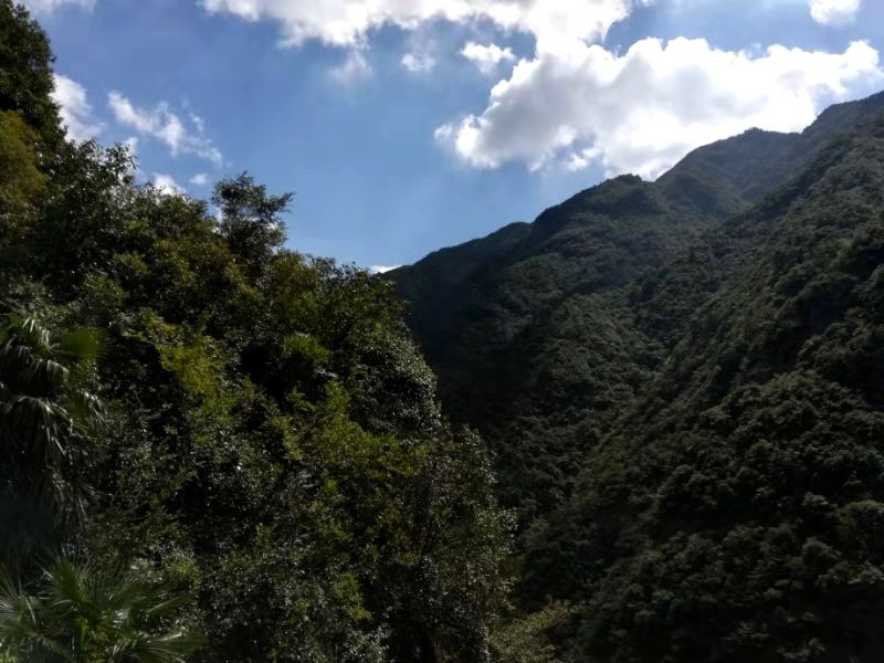 徽杭古道两天一晚来回徒步攻略,一日徽杭古道徒步攻略