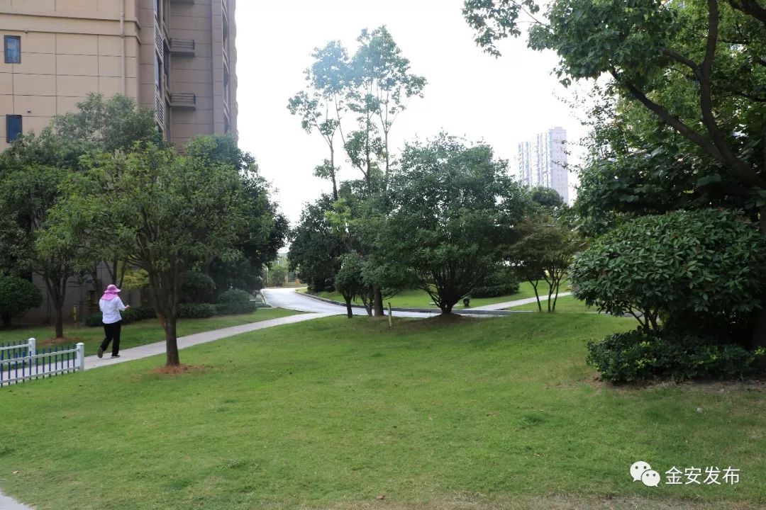 碧桂园空置房物业费收取标准,碧桂园老带新物业费不给了怎么办